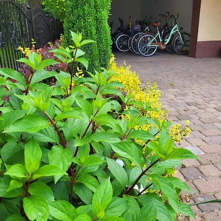 Zacisze- Klimatyczny Z Kominkiem