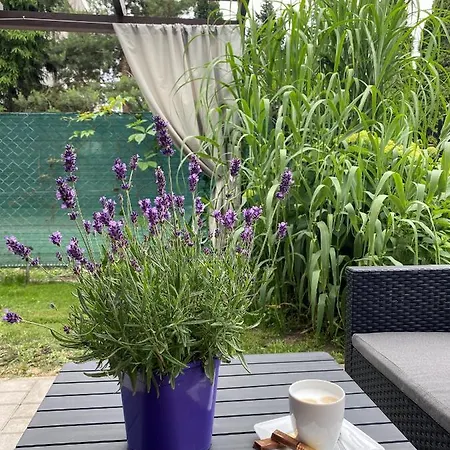 Holiday home Zacisze- Klimatyczny Z Kominkiem *