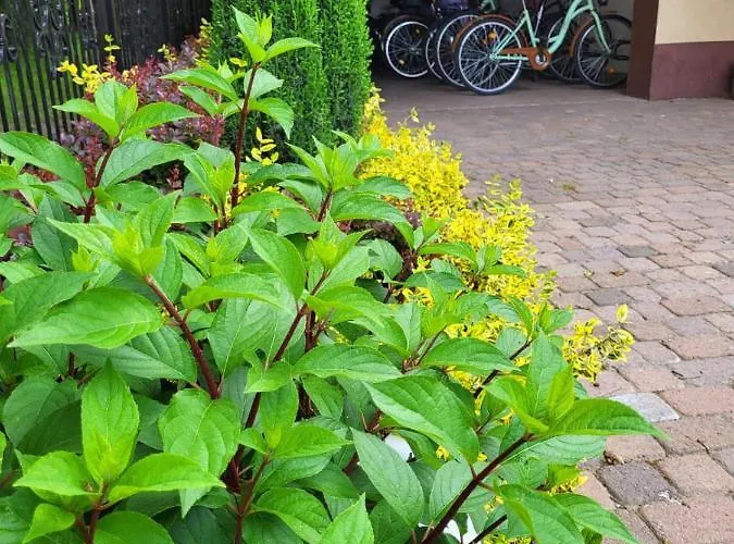 Zacisze- Klimatyczny Z Kominkiem