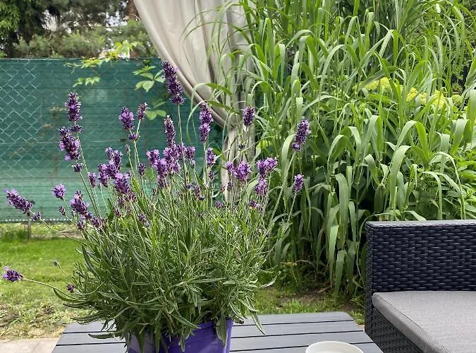 別荘 Zacisze- Klimatyczny Z Kominkiem *